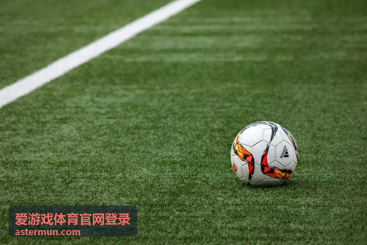 爱游戏体育官网登录综合赛事合集封面
